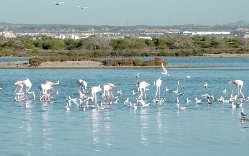 Apartamento Climatizado Con Wifi Mar Menor